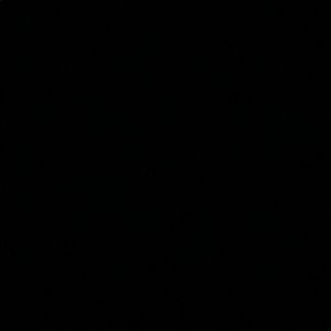 Meet your Posher, Bella